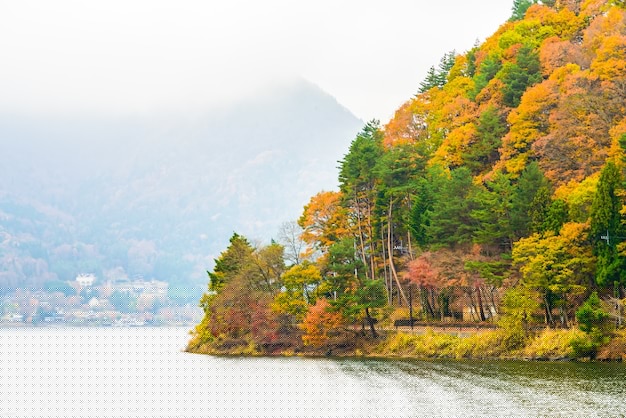 快连下载中文版的教程分享+官方入口推荐 一